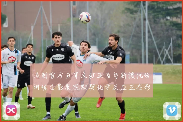 马刺官方分享文班亚马与新援托哈训练合影展现默契化学反应正在形成